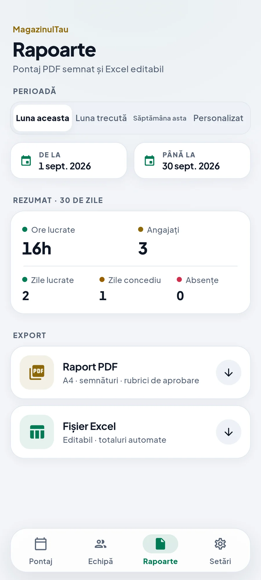 Ecranul de rapoarte PDF și Excel
